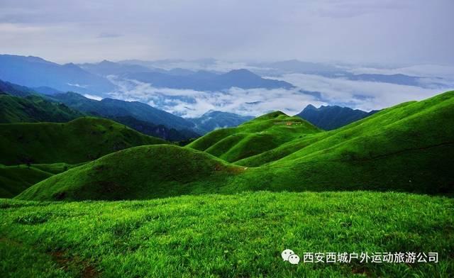 探索opporeno8pro+支持无线充电吗,红迪网平台带你畅游信息海洋!